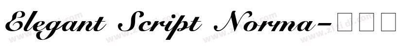 Elegant Script Norma字体转换